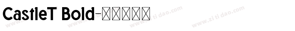 CastleT Bold字体转换